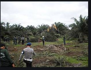 riaubertuah.id