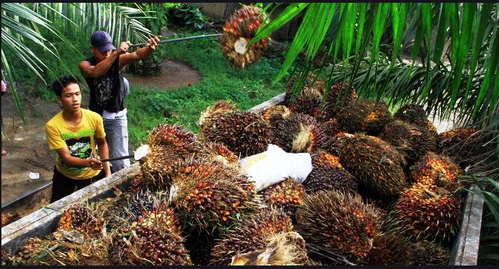 riaubertuah.id