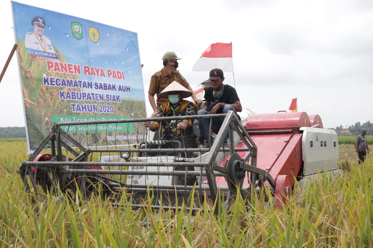 riaubertuah.id