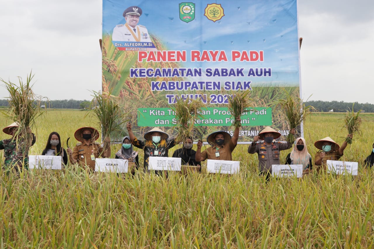 1597197075-RiauBertuah co-IMG-20200812-WA0000