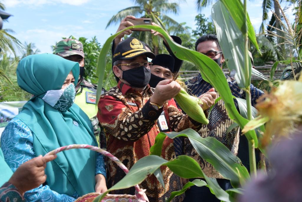 riaubertuah.id