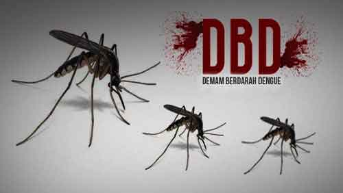 riaubertuah.id
