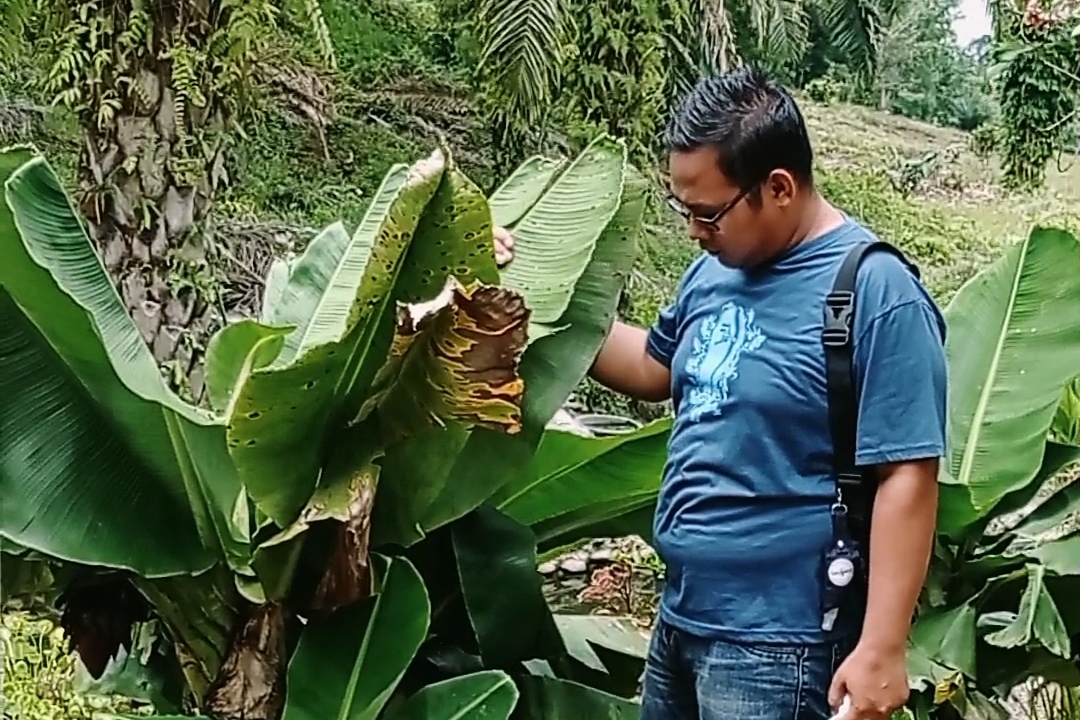 riaubertuah.id