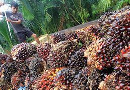 riaubertuah.id